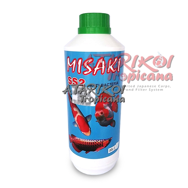 Misaki Medicine