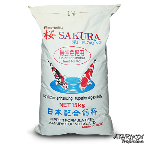 Sakura koi best sale food